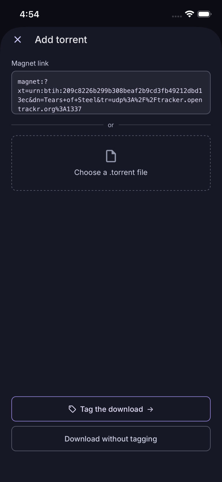 Adding a torrent by magnet link